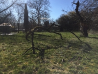 http://www.aufmerksamsitzen.de/files/gimgs/th-105_IMG_0320.jpg