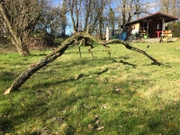 http://www.aufmerksamsitzen.de/files/gimgs/th-105_IMG_0322.jpg