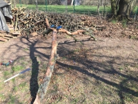 http://www.aufmerksamsitzen.de/files/gimgs/th-105_IMG_0366.jpg