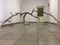 http://www.aufmerksamsitzen.de/files/gimgs/th-105_IMG_1195.jpg