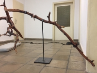 http://www.aufmerksamsitzen.de/files/gimgs/th-105_IMG_1196.jpg