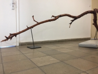 http://www.aufmerksamsitzen.de/files/gimgs/th-105_IMG_1198.jpg