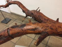 http://www.aufmerksamsitzen.de/files/gimgs/th-105_IMG_1216.jpg