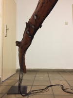http://www.aufmerksamsitzen.de/files/gimgs/th-105_IMG_1227.jpg