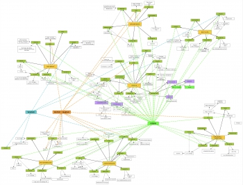 http://www.aufmerksamsitzen.de/files/gimgs/th-107_material_grafik_scsh-jpg.jpg