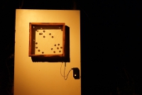 http://www.aufmerksamsitzen.de/files/gimgs/th-79_2022-DSC01944.jpg