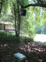 http://www.aufmerksamsitzen.de/files/gimgs/th-79_IMG_3112.jpg
