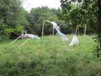 http://www.aufmerksamsitzen.de/files/gimgs/th-79_IMG_3162.jpg