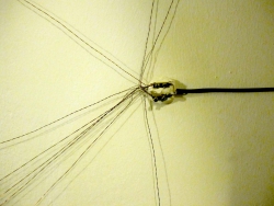 http://www.aufmerksamsitzen.de/files/gimgs/th-97_IMG_7428.jpg